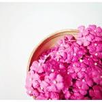 10 Flat mini mulberry paper..