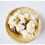 10 Flat mini mulberry paper..
