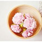 Pink Carnation flowers / pa..