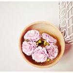 Pink Carnation flowers / pa..