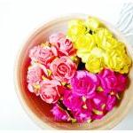 NEW!! Mulberry Rose Buds pa..