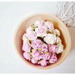 NEW! 30 Mulberry mixed pink..
