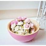 NEW! 30 Mulberry mixed pink..