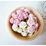NEW! 30 Mulberry mixed pink..