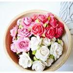 30 Mulberry mixed pink pape..