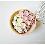 30 Mixed pink & white flowe..