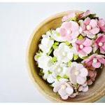 30 Mixed pink & white flowe..
