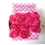 Bloomer little rose trim us..