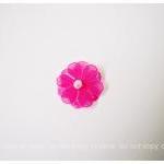 Flower bright pink with pea..