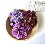 Flower Purple Mulberry Mix..