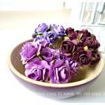 Flower purple Mulberry mixe..