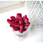 10 Mulberry mini paper Rose..