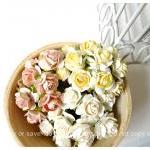 30 Mulberry mixed color pap..