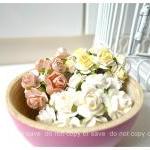 30 Mulberry mixed color pap..