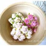 Mulberry mini Rose Buds pap..