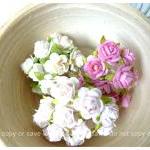 Mulberry mini Rose Buds pap..