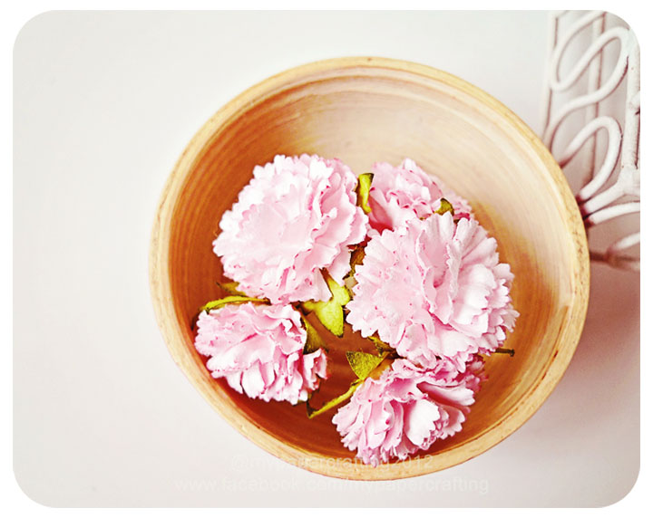 Pink Carnation flowers / pack 