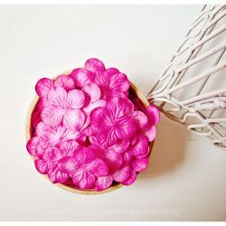 30 Hydrangea petal bright pink / pack