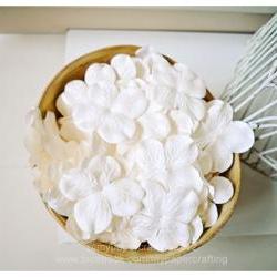 10 Hydrangea big white  / pack