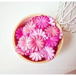 30 Mixed Pink Medium Daisy Flowers petal / pack