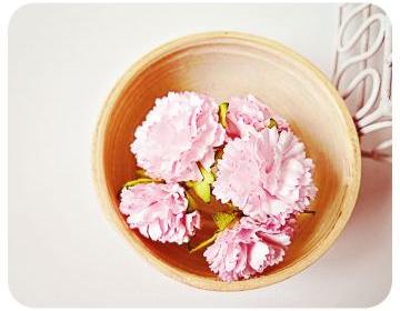 Pink Carnation F..