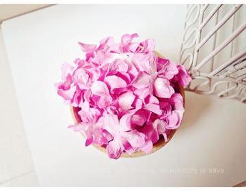 30 Pink Gardenia..