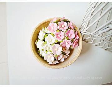 30 Mixed Pink & ..